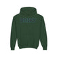 Drikyish - Blue Brain - Youth Heavy Blend Hoodie